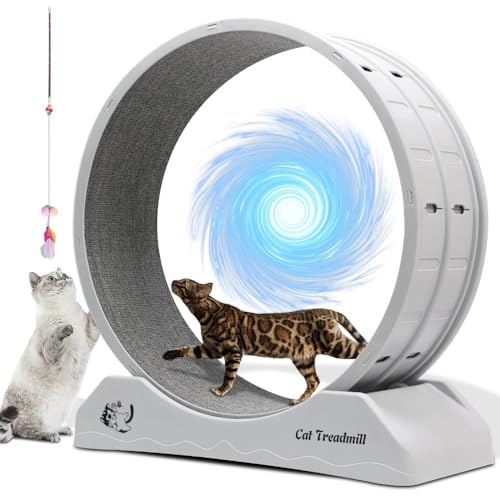 WUDLEP Katzen-Trainingsrad Katzenräder für Indoor-Katzen, Katzenlaufrad mit Teppichlaufbahn, Katzenlaufband Laufband Trainingsgerät für Kittys längeres Leben, Kunststoff-Katzenrad für Fitnessgewicht WUDLEP Katzen-Trainingsrad Katzenräder für Indoor-Katzen, Katzenlaufrad mit Teppichlaufbahn, Katzenlaufband Laufband Trainingsgerät für Kittys längeres Leben, Kunststoff-Katzenrad für Fitnessgewicht von WUDLEP