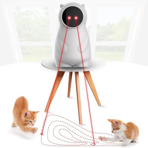 WUGEIN Elektrisches Katzenspielzeug, echte Freizeit-Strecke, interaktives Katzenspielzeug, wiederaufladbar, interaktives Spielzeug für Katzen / Hunde im Innenbereich von WUGEIN
