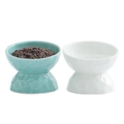 Erhöhter Keramik-Futternapf für Katzen, gekippt, erhöht, aus Porzellan, für flache Katzen, kleine Hunde, schützt die Wirbelsäule des Haustiers, 2er-Set (weiß und grün) von WUHOSTAM