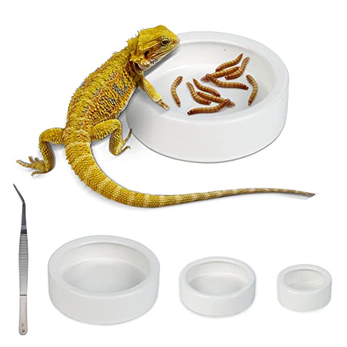 Keramik-Futter- und Wassernapf für Reptilien, Mini-Reptilien, Wurmschale für Eidechsen, Anolen, Bartagamen (mit Pinzette), 3 Stück von WUHOSTAM