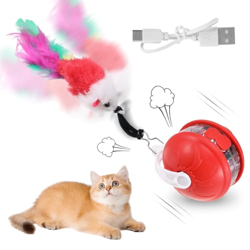 Katzenball Elektrisch Wiederaufladbar mit Powerball Interaktives Katzenspielzeug Geräuscharmes Katzenspielzeug Selbstbeschäftigung Interaktiver Spielball für Katzen 360°Katzenspielzeug Ball Elektrisch Katzenball Elektrisch Wiederaufladbar mit Powerball Interaktives Katzenspielzeug Geräuscharmes Katzenspielzeug Selbstbeschäftigung Interaktiver Spielball für Katzen 360°Katzenspielzeug Ball Elektrisch von WUIOWPPIC