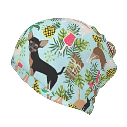 WURTON Beanie-Mütze für Hunde, Ananas-Druck, lockere Mütze, multifunktional, Chemo-Totenkopfmütze, Kopfbedeckung, Turban, Hunde-Ananas, Einheitsgr��e von WURTON