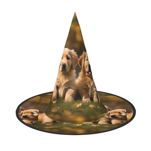 WURTON Golden Retriever Hunde Welpen Haustiere Druck Halloween Hut Einzigartiger Hexenhut für Partys Cosplay - Halloween Dekor Partys WURTON Golden Retriever Hunde Welpen Haustiere Druck Halloween Hut Einzigartiger Hexenhut für Partys Cosplay - Halloween Dekor Partys von WURTON