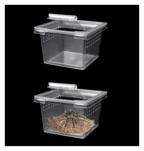 Faunarium Insektenbox 10 Packungen Insekten Spinne Terrarien Zucht Box Schraffur Container Schnecken Terrarium von WUTIANBAO