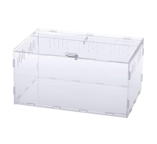 Faunarium Insektenbox Acryl-Haustier-Eidechsen-Kriechtierbox for Bürolabor Schnecken Terrarium(40x25x20cm) von WUTIANBAO