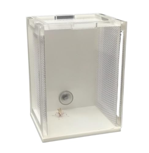 Faunarium Insektenbox Acryl Mantis Terrarium Fütterung Box Reptil Tank for Schnecken Terrarium von WUTIANBAO