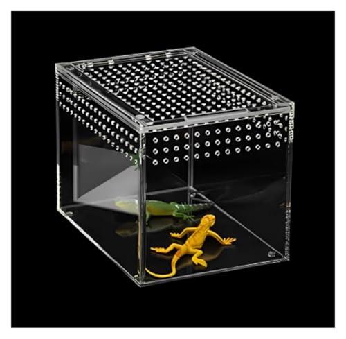 Faunarium Insektenbox Acryl Reptilien Fall Zucht Box Terrarium for Tarantula Scorpion Schnecken Terrarium(Transparent) von WUTIANBAO