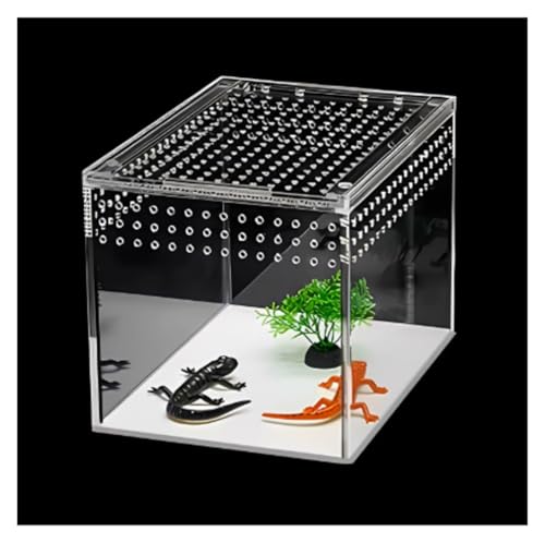 Faunarium Insektenbox Acryl Reptilien Fall Zucht Box Terrarium for Tarantula Scorpion Schnecken Terrarium(White) von WUTIANBAO