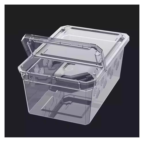 Faunarium Insektenbox Acryl-Reptilienzuchtbox, Beobachtungsbox for Spinnengrillen Schnecken Terrarium(21x12.5cm) von WUTIANBAO