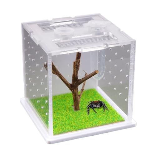 Faunarium Insektenbox Acryl Zucht Box Jumping Insect Habitat Schraffur Container Käfig Schnecken Terrarium Faunarium Insektenbox Acryl Zucht Box Jumping Insect Habitat Schraffur Container Käfig Schnecken Terrarium von WUTIANBAO