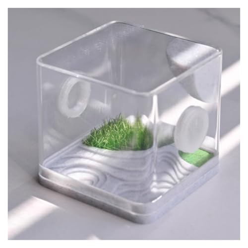 Faunarium Insektenbox Gehege for Springspinnen, Terrarium-Gehege Aus Acryl for Reptilien Schnecken Terrarium(8x7cm) von WUTIANBAO