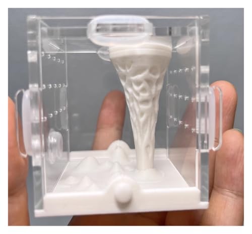 Faunarium Insektenbox Insekten-Reptilien-Futterbox for Baumbewohnende Vogelspinnen Und Skorpione Schnecken Terrarium(66mm) von WUTIANBAO