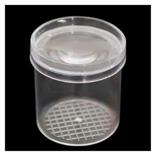 Faunarium Insektenbox Insektenbeobachtungsbehälter for Wissenschaftliche Erkundungen Im Freien Schnecken Terrarium(6.9x6.5x6cm) von WUTIANBAO