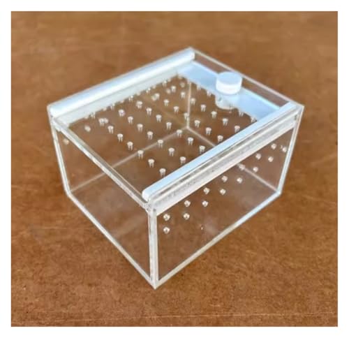 Faunarium Insektenbox Reptil Acryl Fütterung Box Insekten Lebensraum Terrarium Fall for Spinnen Schnecken Terrarium Faunarium Insektenbox Reptil Acryl Fütterung Box Insekten Lebensraum Terrarium Fall for Spinnen Schnecken Terrarium von WUTIANBAO