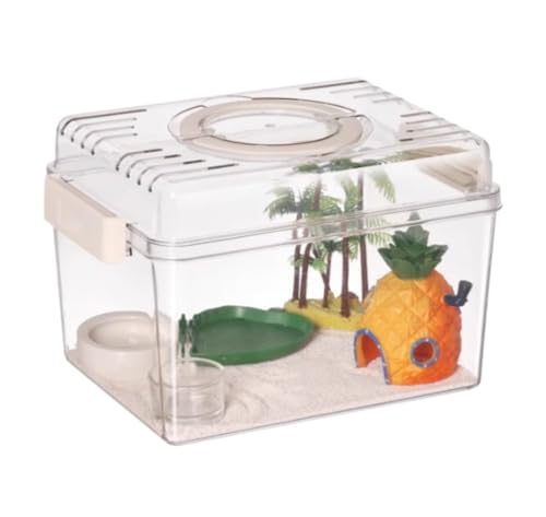 Faunarium Insektenbox Reptilien-Terrarium-Set, Brutkasten for Schlangen-Vogelspinnen, Einsiedlerkrebse Schnecken Terrarium(27x21x19cm) von WUTIANBAO