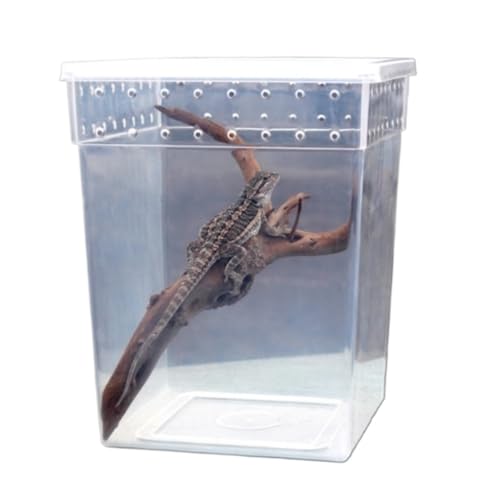 Faunarium Insektenbox Reptilien-Terrarium-Zuchtbox for Schlangen, Einsiedlerkrebse, Frösche, Insekten Schnecken Terrarium von WUTIANBAO