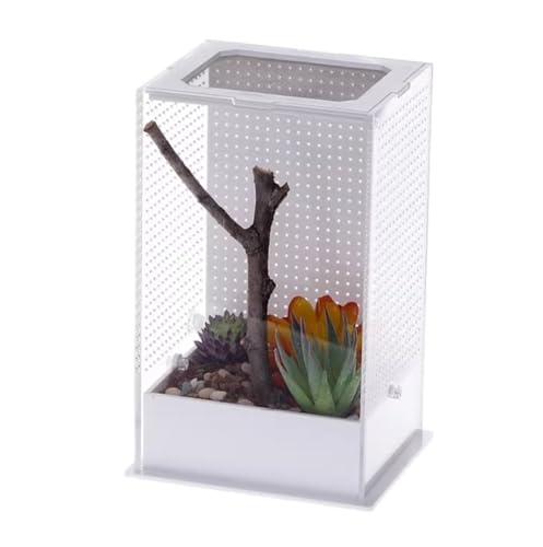 Faunarium Insektenbox Reptilien-Zuchtbox, Aufbewahrungs- Und Beobachtungsbox for Spinnengrillen Schnecken Terrarium(20x12x10cm) von WUTIANBAO