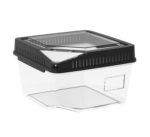 Faunarium Insektenbox Reptilienkäfig Aus Acryl, Transparentes Gehäuse, Reptilienzuchtbox Schnecken Terrarium(Black,18x11x15.5cm) von WUTIANBAO