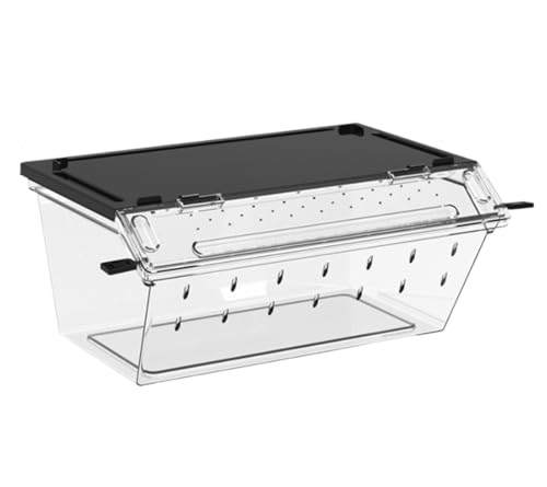 Faunarium Insektenbox Reptilienkäfig Aus Acryl, Transparentes Gehäuse, Reptilienzuchtbox Schnecken Terrarium(Black,24.5x16x10.5cm) von WUTIANBAO