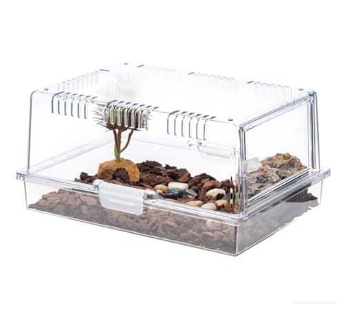 Faunarium Insektenbox Spinnenterrarien Zuchtbox Insektenbehälter Kunststoff-Futterbox Schnecken Terrarium von WUTIANBAO