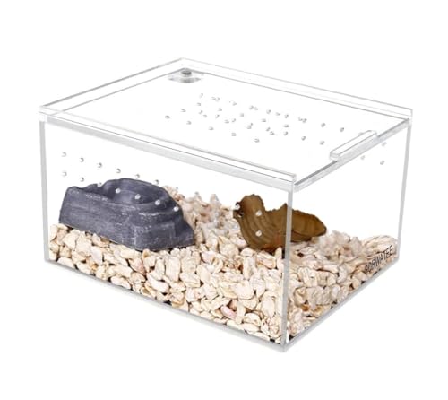 Faunarium Insektenbox Terrarium-Zuchtbox for Kleine, Am Boden Lebende Reptilien Schnecken Terrarium(10.5x8.5x6cm) von WUTIANBAO