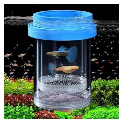 Faunarium Insektenbox Zuchtbox for Aquarium, Zuchtkammer Aus Kunststoff Schnecken Terrarium(15x10.2cm) von WUTIANBAO