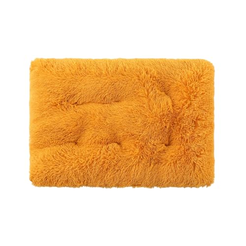 WUUISDNX Hundebettmatte für Haustiere – bequem und weich, langlebig und langlebig, gesundes und hygienisches Hundekäfigbett, Hundekissen, Gold, XS WUUISDNX Hundebettmatte für Haustiere – bequem und weich, langlebig und langlebig, gesundes und hygienisches Hundekäfigbett, Hundekissen, Gold, XS von WUUISDNX