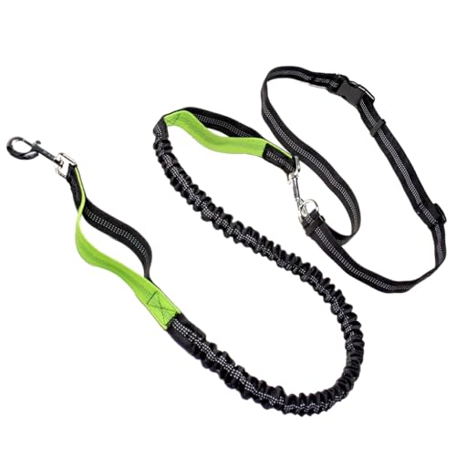 WUUISDNX Hundeleine mit verstellbarem Taillengürtel, reflektierender Streifen, freihändig, multifunktional, breite Anwendung, Jogging Hundeleine WUUISDNX Hundeleine mit verstellbarem Taillengürtel, reflektierender Streifen, freihändig, multifunktional, breite Anwendung, Jogging Hundeleine von WUUISDNX