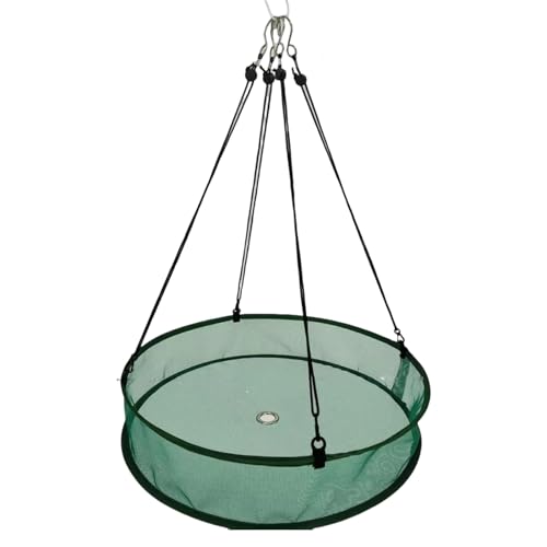 WUUISDNX Outdoor Vogel Catcher Tablett Hängen Hoop Tablett Für Kolibri Feeder Vogel Samen Catcher Für Vogel Feeder, grüner, Sutra 50.8, 50.8 cm – 10 cm (1 Satz) von WUUISDNX