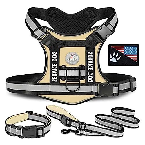 3 stücke Tacticals Pet Harness Hunde Weste Harness Outdoor Training Mesh Weste Traktion Harness Reflektierende Weste Für Mittlere Hunde Training Hunde Geschirr Hunde Zubehör 3 stücke Tacticals Pet Harness Hunde Weste Harness Outdoor Training Mesh Weste Traktion Harness Reflektierende Weste Für Mittlere Hunde Training Hunde Geschirr Hunde Zubehör von WUURAA