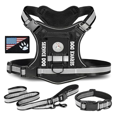 3 stücke Tacticals Pet Harness Hunde Weste Harness Outdoor Training Mesh Weste Traktion Harness Reflektierende Weste Für Mittlere Hunde Training Hunde Geschirr Hunde Zubehör 3 stücke Tacticals Pet Harness Hunde Weste Harness Outdoor Training Mesh Weste Traktion Harness Reflektierende Weste Für Mittlere Hunde Training Hunde Geschirr Hunde Zubehör von WUURAA