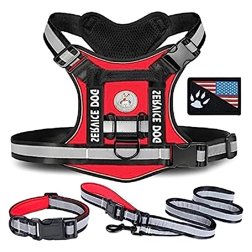 3 stücke Tacticals Pet Harness Hunde Weste Harness Outdoor Training Mesh Weste Traktion Harness Reflektierende Weste Für Mittlere Hunde Training Hunde Geschirr Hunde Zubehör 3 stücke Tacticals Pet Harness Hunde Weste Harness Outdoor Training Mesh Weste Traktion Harness Reflektierende Weste Für Mittlere Hunde Training Hunde Geschirr Hunde Zubehör von WUURAA
