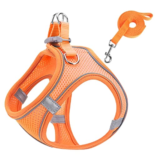 Hundegeschirr Allwetter Netzweste Mit 2 Metall D Ringen Reflektierend Weich Gepolsterte Geschirre Mit Für Kleine Hunde Kleine Hundeweste Luftgeschirr Und Leine Set Kein Ziehen Kein Hundegeschirr Allwetter Netzweste Mit 2 Metall D Ringen Reflektierend Weich Gepolsterte Geschirre Mit Für Kleine Hunde Kleine Hundeweste Luftgeschirr Und Leine Set Kein Ziehen Kein von WUURAA