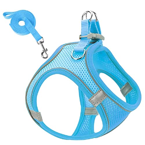 Hundegeschirr Allwetter Netzweste Mit 2 Metall D Ringen Reflektierend Weich Gepolsterte Geschirre Mit Für Kleine Hunde Kleine Hundeweste Luftgeschirr Und Leine Set Kein Ziehen Kein Hundegeschirr Allwetter Netzweste Mit 2 Metall D Ringen Reflektierend Weich Gepolsterte Geschirre Mit Für Kleine Hunde Kleine Hundeweste Luftgeschirr Und Leine Set Kein Ziehen Kein von WUURAA