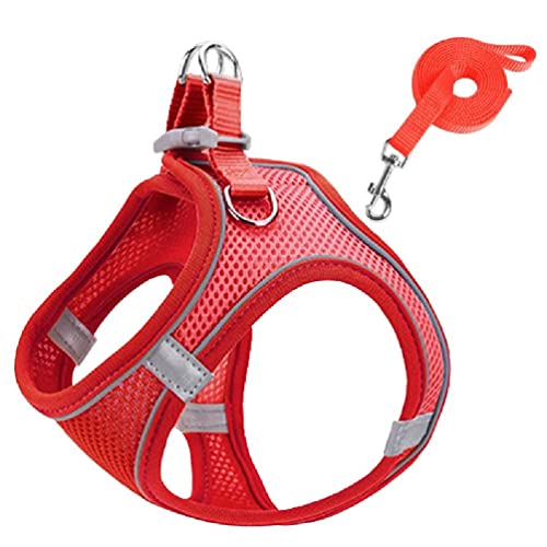 Hundegeschirr Allwetter Netzweste Mit 2 Metall D Ringen Reflektierend Weich Gepolsterte Geschirre Mit Für Kleine Hunde Kleine Hundeweste Luftgeschirr Und Leine Set Kein Ziehen Kein Hundegeschirr Allwetter Netzweste Mit 2 Metall D Ringen Reflektierend Weich Gepolsterte Geschirre Mit Für Kleine Hunde Kleine Hundeweste Luftgeschirr Und Leine Set Kein Ziehen Kein von WUURAA
