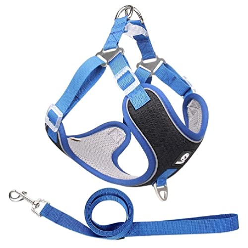 Pet Chest Strap Vest Type Dog Strap Small Dog Rope Outdoor Reflective Breathable Dog Traction Rope Dog Collar Seat Belts Traction Rope Dog Traction Rope Leash Pet Chest Strap Vest Type Dog Strap Small Dog Rope Outdoor Reflective Breathable Dog Traction Rope Dog Collar Seat Belts Traction Rope Dog Traction Rope Leash von WUURAA