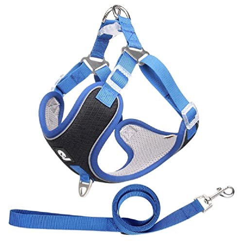 Pet Chest Strap Vest Type Dog Strap Small Dog Rope Outdoor Reflective Breathable Dog Traction Rope Dog Collar Seat Belts Traction Rope Dog Traction Rope Leash Pet Chest Strap Vest Type Dog Strap Small Dog Rope Outdoor Reflective Breathable Dog Traction Rope Dog Collar Seat Belts Traction Rope Dog Traction Rope Leash von WUURAA