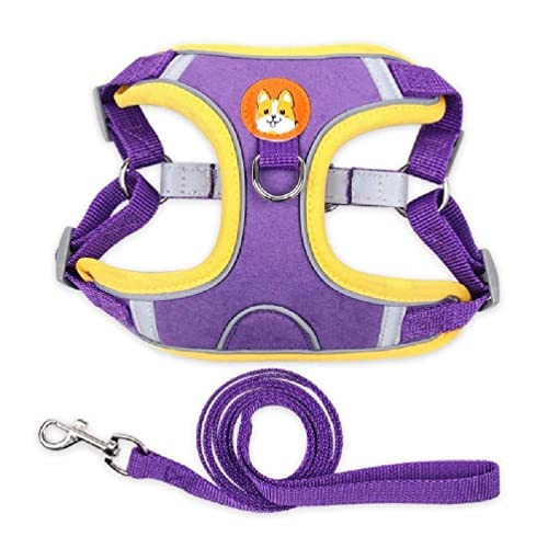 Pet Chest Strap Vest Type Dog Strap Small Dog Rope Outdoor Reflective Breathable Dog Traction Rope Dog Collar Seat Belts Traction Rope Dog Traction Rope Leash Pet Chest Strap Vest Type Dog Strap Small Dog Rope Outdoor Reflective Breathable Dog Traction Rope Dog Collar Seat Belts Traction Rope Dog Traction Rope Leash von WUURAA