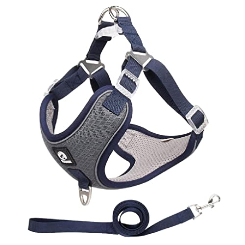 Pet Chest Strap Vest Type Dog Strap Small Dog Rope Outdoor Reflective Breathable Dog Traction Rope Dog Collar Seat Belts Traction Rope Dog Traction Rope Leash Pet Chest Strap Vest Type Dog Strap Small Dog Rope Outdoor Reflective Breathable Dog Traction Rope Dog Collar Seat Belts Traction Rope Dog Traction Rope Leash von WUURAA