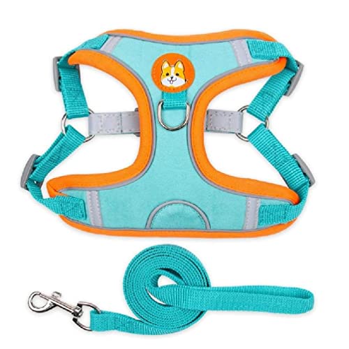 Pet Chest Strap Vest Type Dog Strap Small Dog Rope Outdoor Reflective Breathable Dog Traction Rope Dog Collar Seat Belts Traction Rope Dog Traction Rope Leash Pet Chest Strap Vest Type Dog Strap Small Dog Rope Outdoor Reflective Breathable Dog Traction Rope Dog Collar Seat Belts Traction Rope Dog Traction Rope Leash von WUURAA