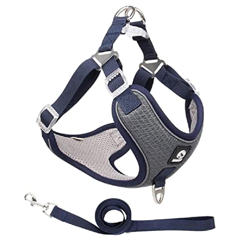 Pet Chest Strap Vest Type Dog Strap Small Dog Rope Outdoor Reflective Breathable Dog Traction Rope Dog Collar Seat Belts Traction Rope Dog Traction Rope Leash Pet Chest Strap Vest Type Dog Strap Small Dog Rope Outdoor Reflective Breathable Dog Traction Rope Dog Collar Seat Belts Traction Rope Dog Traction Rope Leash von WUURAA