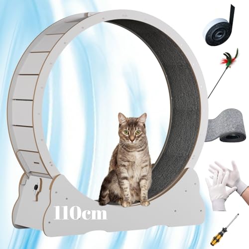 Massivholzverkleidung Katzenlaufrad - die perfekte Auslaufmöglichkeit für Katzen! (XL, Elfenbein) von WUZILIN