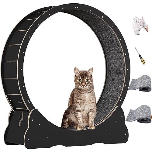 Hochwertige Massivholzverkleidung Katzenlaufrad - die perfekte Auslaufmöglichkeit für Katzen! (XL, Schwarz) von WUZILIN
