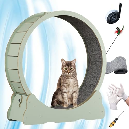 Massivholzverkleidung Katzenlaufrad - die perfekte Auslaufmöglichkeit für Katzen! (XL, Hellgrün) von WUZILIN