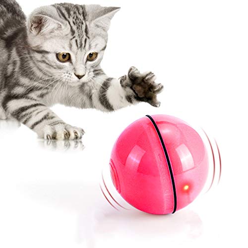 WWVVPET 2023 Katzenspielzeug, Spielzeugball mit LED-Licht, automatische 360-Grad-Drehung und USB-Aufladung, interaktives Katzenspielzeug, für Haustiere, Hunde, Kätzchen (Rot) von WWVVPET