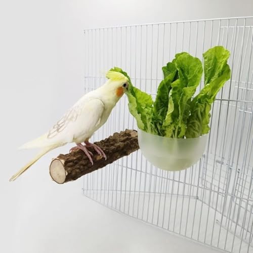 WWZ889 Vogelfutterstation für Papageien mit Holzständer Sitzstange Käfig Obst Gemüse Halter Gemüseregal Tierfutter Hängekörbe Papagei Obst Hängebehälter Käfig Hängekorb Container WWZ889 Vogelfutterstation für Papageien mit Holzständer Sitzstange Käfig Obst Gemüse Halter Gemüseregal Tierfutter Hängekörbe Papagei Obst Hängebehälter Käfig Hängekorb Container von WWZ889