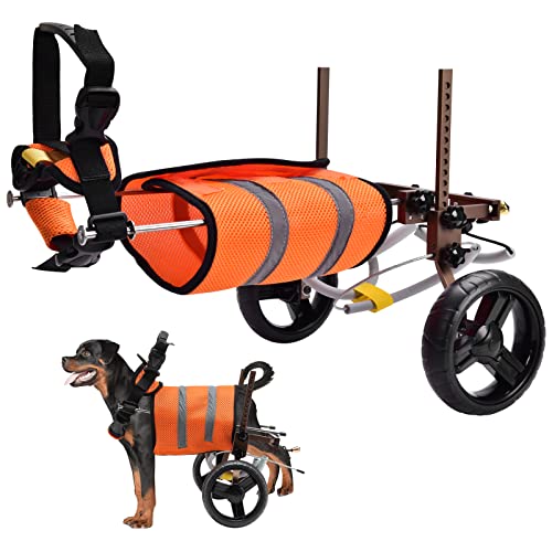 WWahuayuan Rollstuhl für Hunde, verstellbar, leicht, mit Leine für kleine, mittelgroße Hunde von WWahuayuan