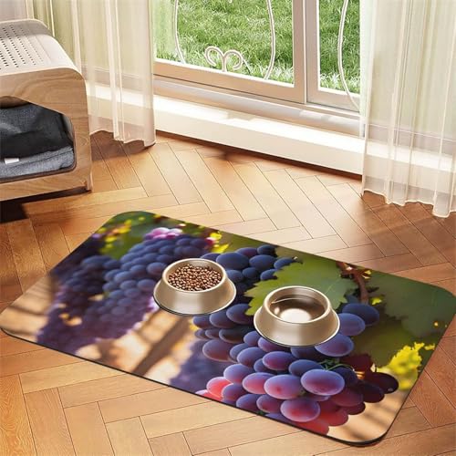 Desert Grapes Haustier-Tischdecke, saugfähig, Leder, geeignet für Hunde oder Katzen von WXCJWD