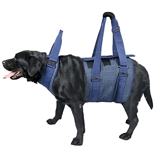 Dog Full Body Lift Support Harness - Gehhilfe für Gehhilfen bei der Rehabilitation von Haustieren hilft dem Hund beim Aufstehen bei Verletzungen Arthritis, Genesung, Behinderung (L) von WXFEXIA