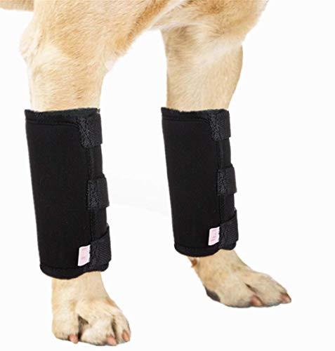 WXFEXIA Hunde-Bandage für die Vorderbeine, schützt die Wunden, unterstützt die Heilung durch Arthritis, um Verletzungen und Verstauchungen oder beim Gehen zu verhindern (1 Paar, L) von WXFEXIA